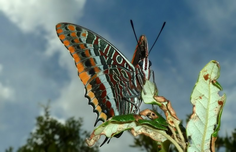 ..Sempre le stesse....